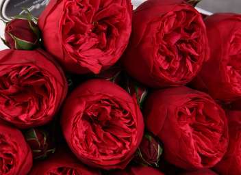 Какие цветы используются для красного букета невесты?