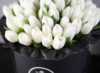 Кому и когда дарят белые тюльпаны?