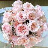Селективные розы