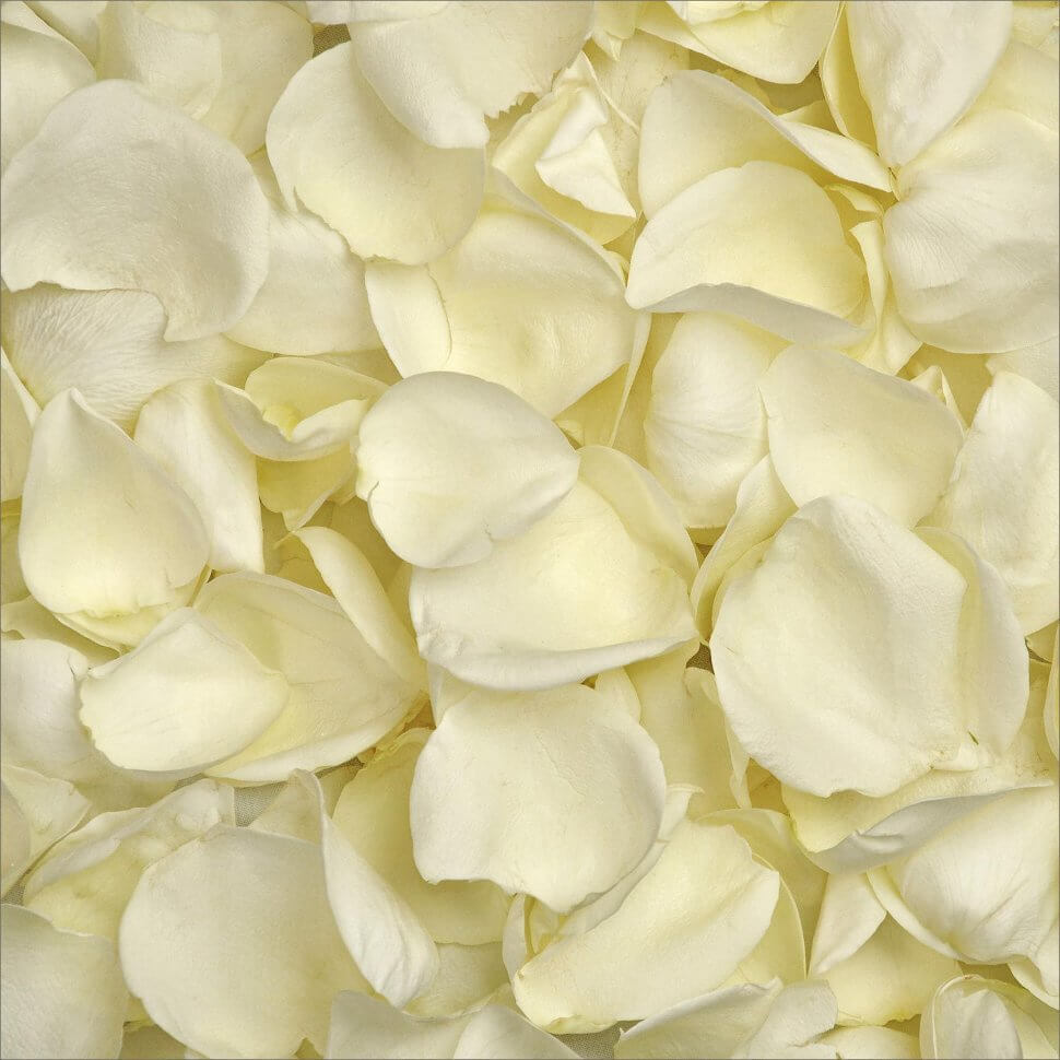 Лепестки роз 