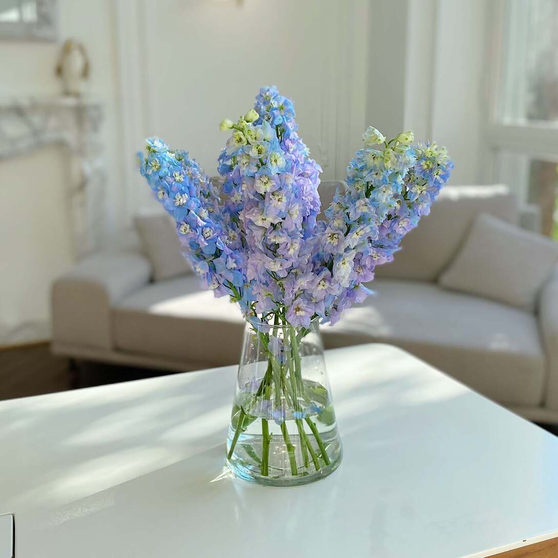 Букет из голубого дельфиниума в вазе