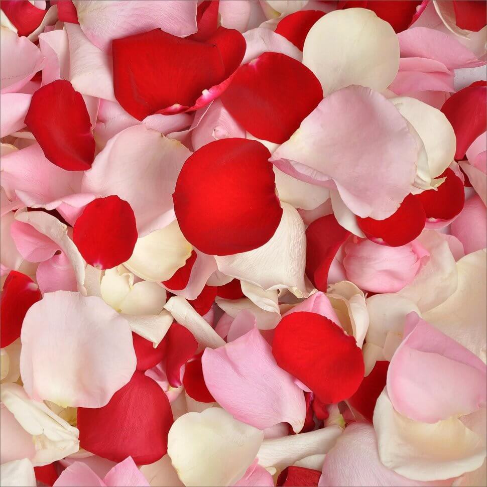 Лепестки роз 