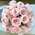Букет из 35 японских селективных роз Tsumugi без вазы