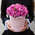 Шляпная коробка Demi "Розы Misty Bubbles" PINK
