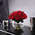 Букет из 25 роз"Red Piano" в вазе сфера