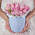 Шляпная коробка Demi "Тюльпаны Pink" BLUE