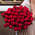Букет из 51 розы "Red Piano"