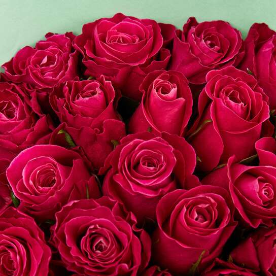 Букет из 21 розы "Cherry O! Kenya" GREEN