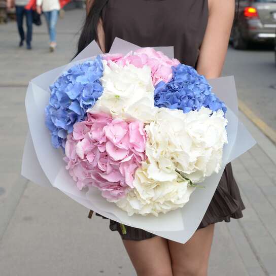 Букет из гортензий "Белая, Розовая, Синяя" (7 шт.)