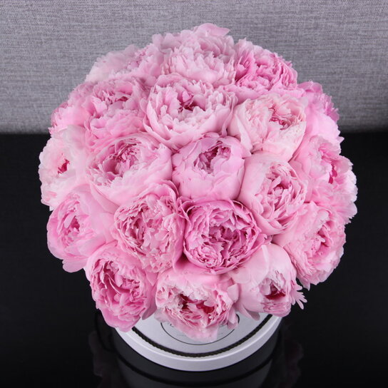 Шляпная коробка Grand "Пионы Sarah Bernhardt" WHITE