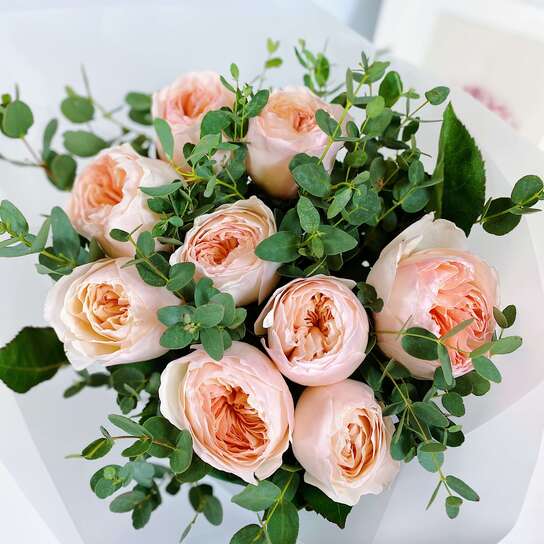 Букет из 9 персиковых роз Juliet с эвкалиптом