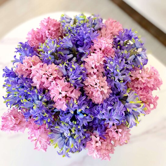 Разноцветные гиацинты в шляпной коробке Grand PINK