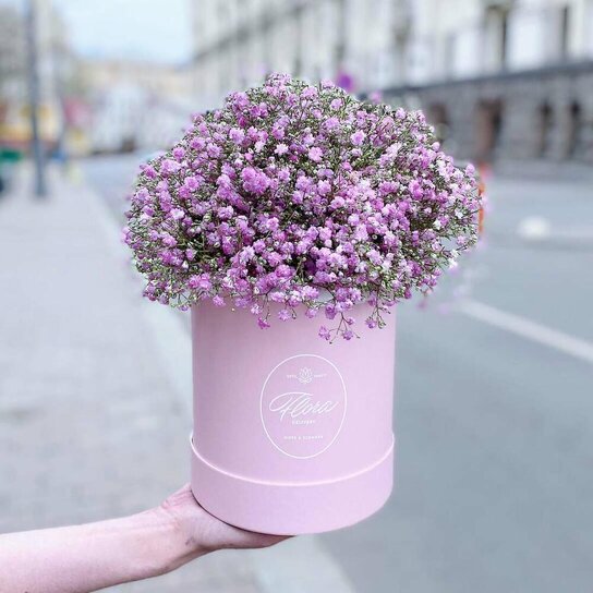 Букет Гипсофила в шляпной коробке Petit PINK