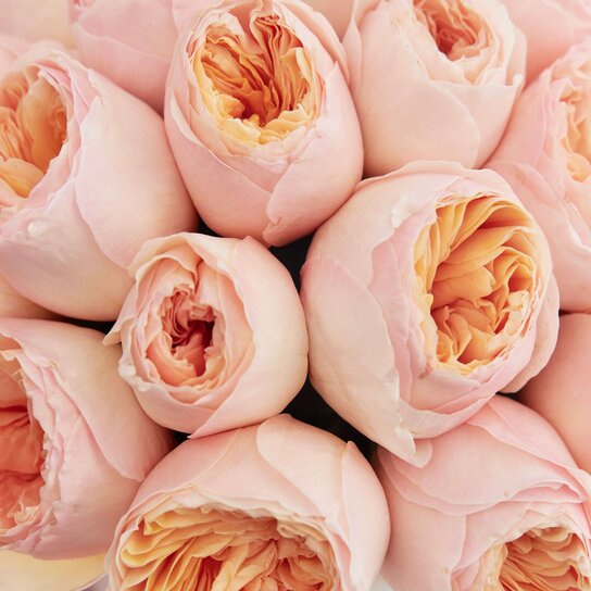 Шляпная коробка Petit "Розы Austin Juliet" PINK Фото 3