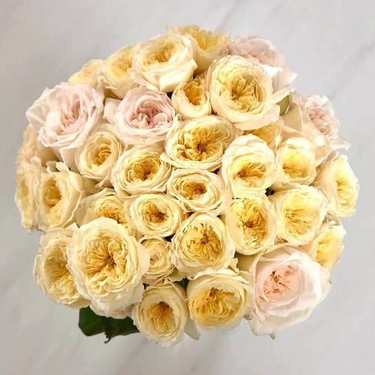 Кремовый микс из садовых роз в вазе