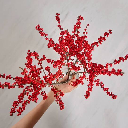 Букет из красного илекса в вазе