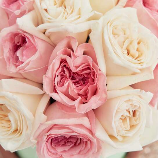 Шляпная коробка Petit "Микс садовых роз O'Hara"