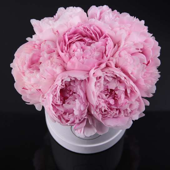 Шляпная коробка Demi "Пионы Sarah Bernhardt" WHITE Фото 2