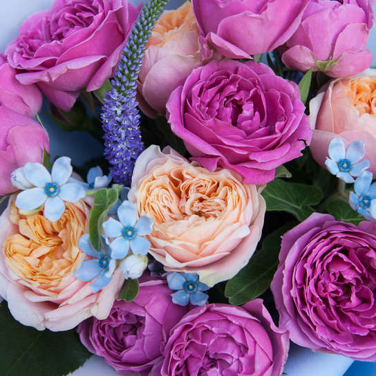 Букет "Magenta Blue"