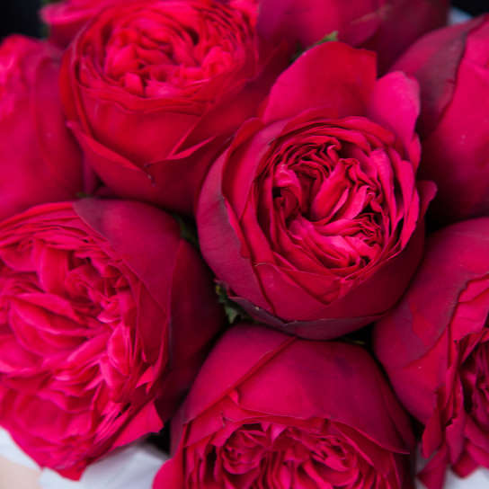 Шляпная коробка Demi "Роза Red Piano" WHITE