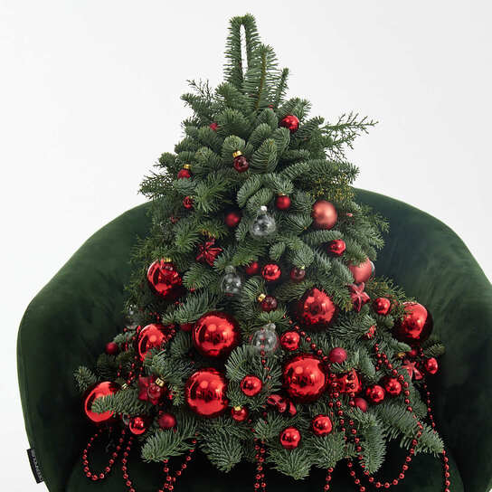 Новогодняя ель из нобилиса "Новый красный"