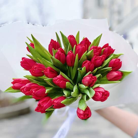 Букет из 25 красных тюльпанов