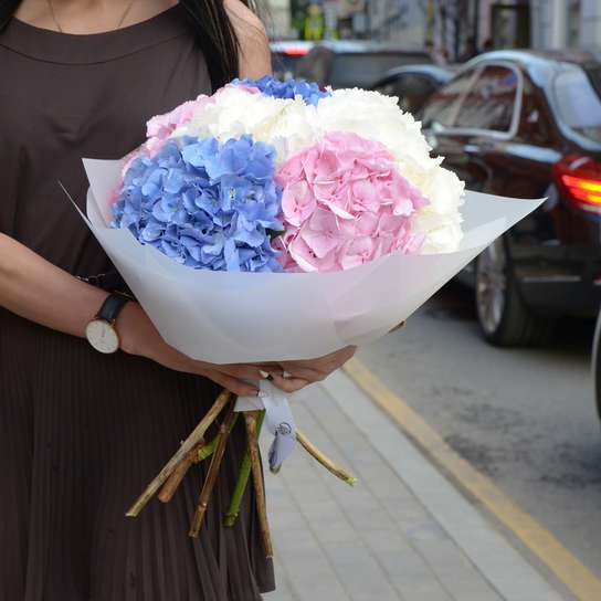 Букет из гортензий "Белая, Розовая, Синяя" (7 шт.) Фото 2