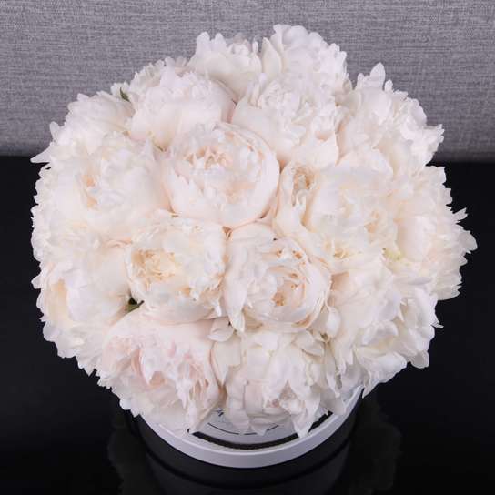 Шляпная коробка Grand "Madame Claude Taine" WHITE