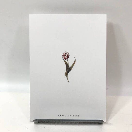 Открытка с праздником Тюльпаны