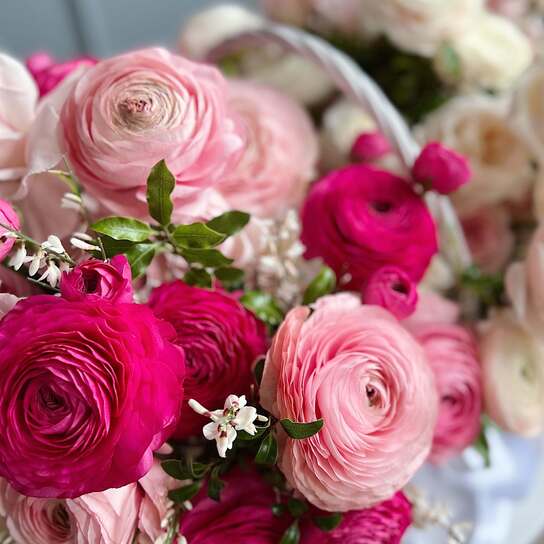 Корзина с малиновыми ранункулюсами №3