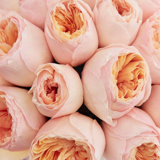 Шляпная коробка Petit "Розы Austin Juliet" PINK Фото 3