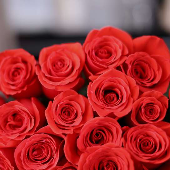 Букет из 51 розы "Nina"