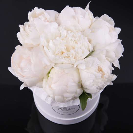 Шляпная коробка Demi "Пионы Madame Claude Tain" WHITE