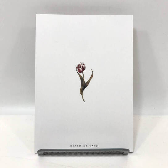 Открытка c 8 марта Тюльпаны Фото 2