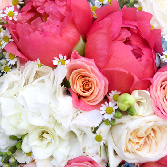 Букет "Coral Sunset" Medium Фото 4