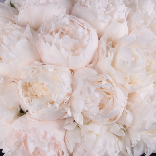 Шляпная коробка Grand "Madame Claude Taine" WHITE