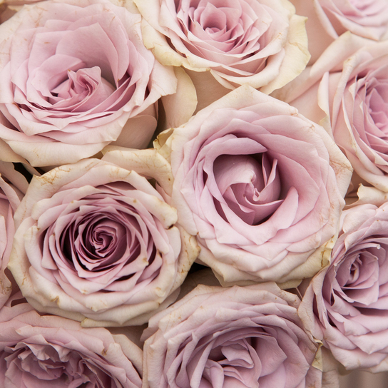 Шляпная коробка Demi "Розы Кения Purple" BLVCK Фото 4