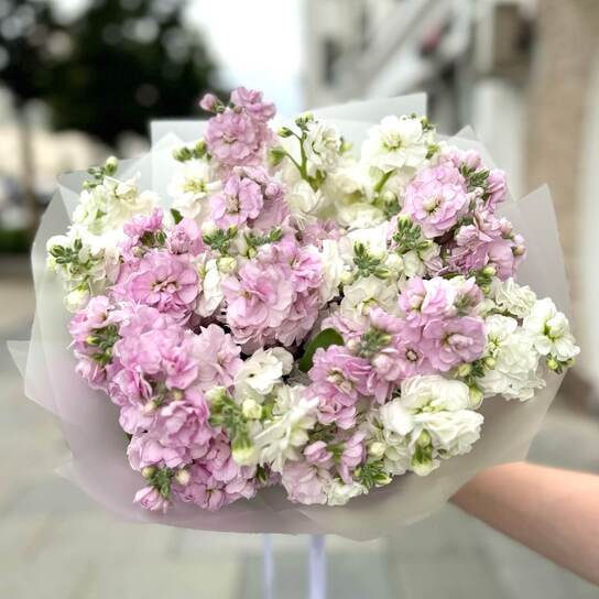 Букет ароматной маттиолы 11 шт