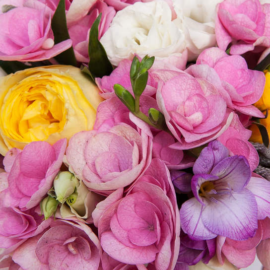 Шляпная коробка Demi  "Fort-de-France" PINK