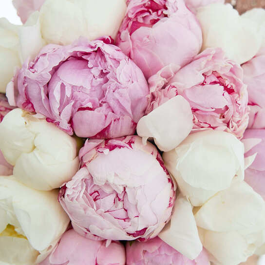 Шляпная коробка Petit "Микс пионов" BLUE