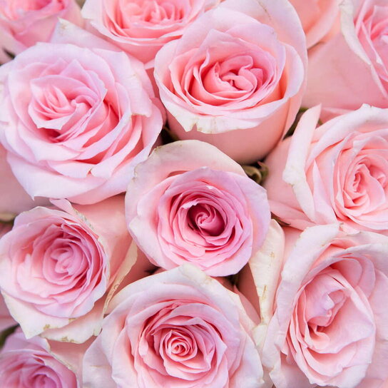 Шляпная коробка Grand с розовыми розами PINK Фото 4
