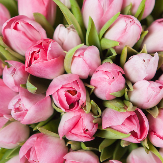 Шляпная коробка Grand "Тюльпаны Pink" BLUE