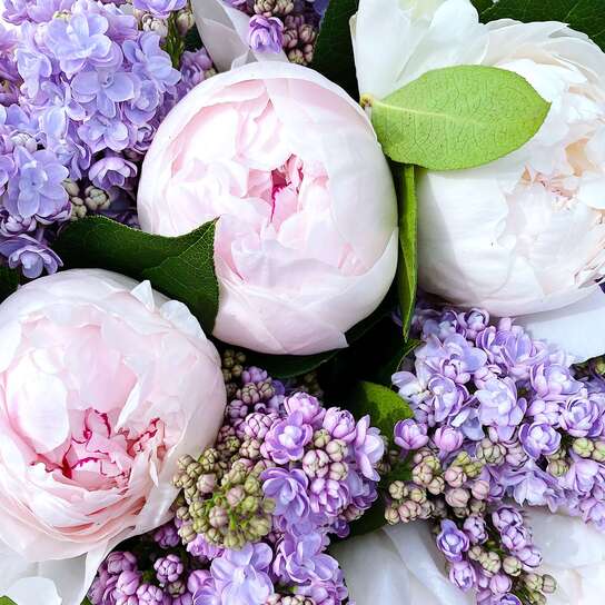 Букет с сиренью и пионами "Venesia"