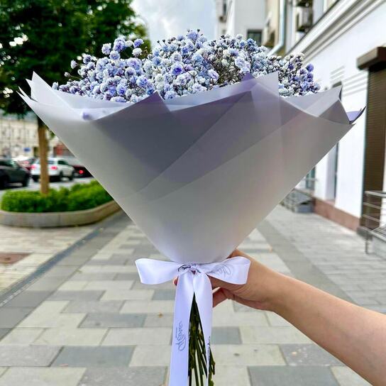 Букет из Лавандовой гипсофилы