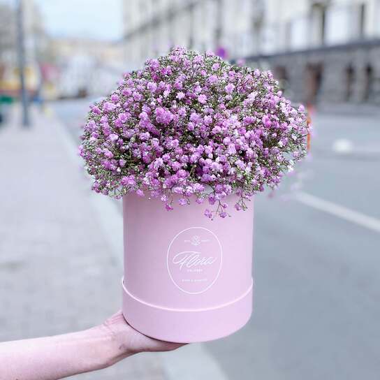 Букет Гипсофила в шляпной коробке Petit PINK