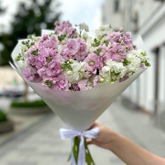 Букет ароматной маттиолы 11 шт