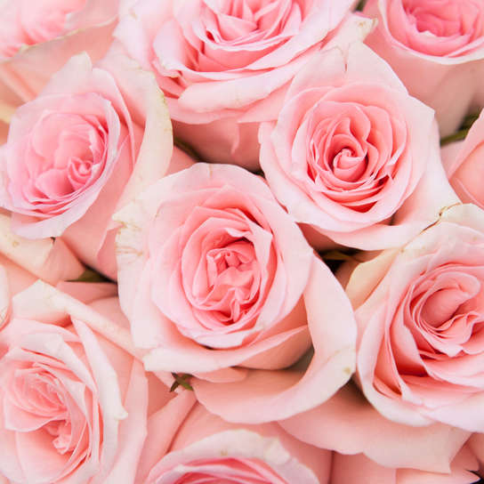 Шляпная коробка Grand с розовыми розами GREEN