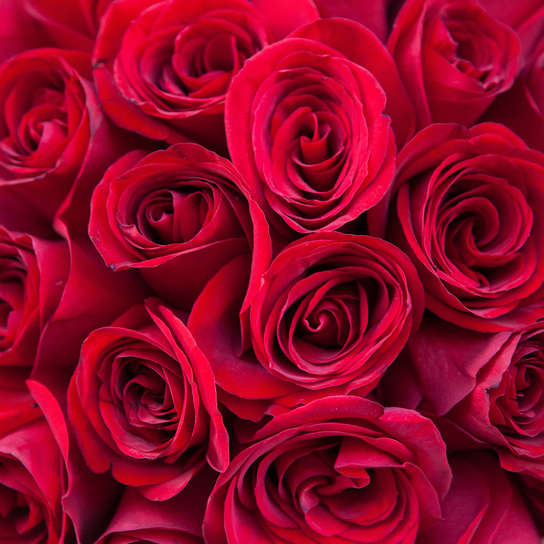 Шляпная коробка Grand с красными розами  BLVCK