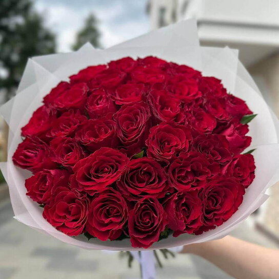 Букет из 35 роз "Red Kenya"