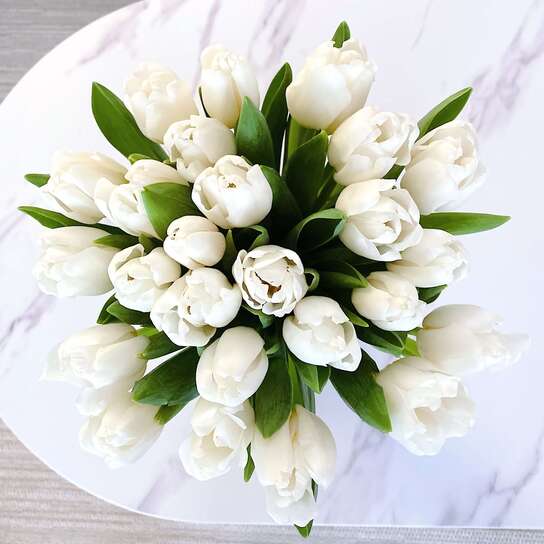 Букет 25 тюльпанов "White" в вазе